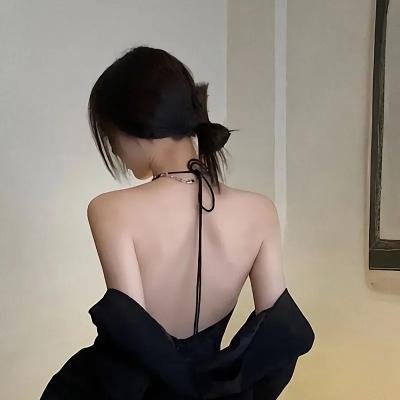 战略阴谋:刺客末路